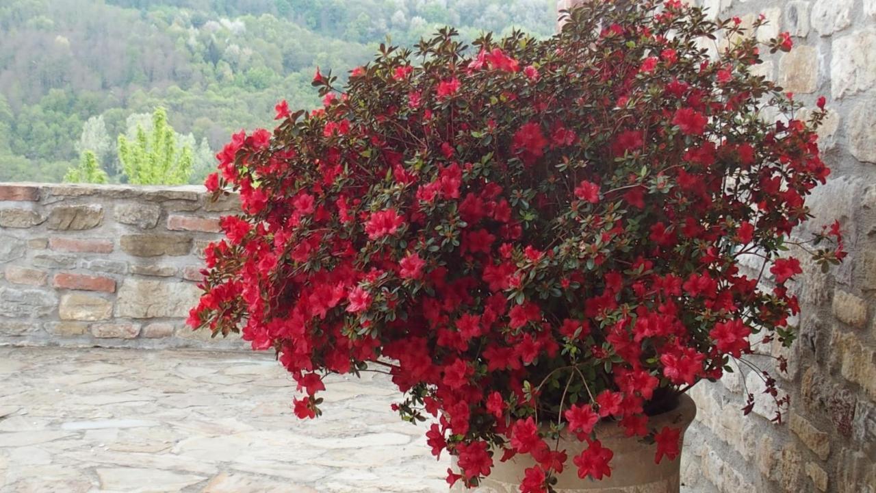 La Corte Di Langa Pension Albaretto della Torre Buitenkant foto